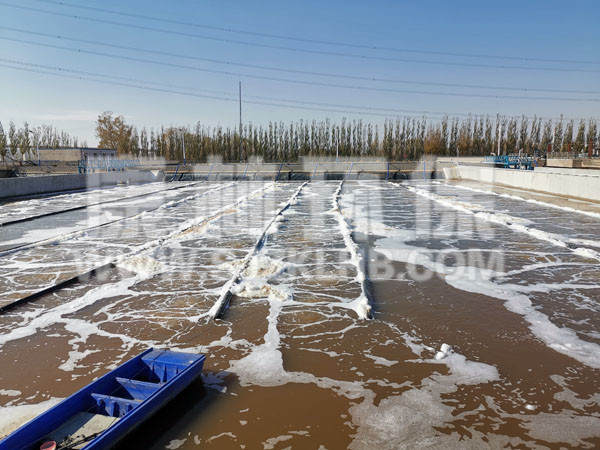 內(nèi)蒙污水處理廠懸掛鏈曝氣器安裝現(xiàn)場(chǎng)