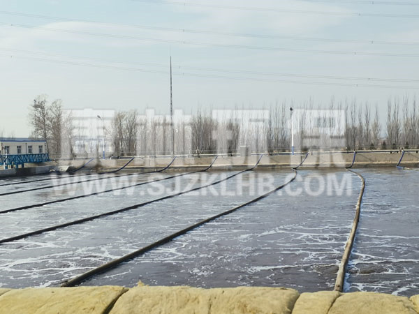 內(nèi)蒙污水處理廠懸掛鏈曝氣器安裝現(xiàn)場(chǎng)